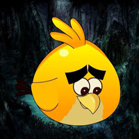  Save The Angry Bird