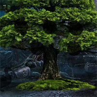Free online html5 games - Games4King Saint Patrick Boy Escape game 