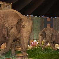 Free online html5 games - The Enigmatic Circus game 