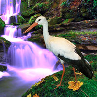 Free online html5 games - Big Crane Land Escape game - Games2rule 