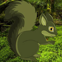 Free online html5 games - Japanese Forest Squirrel Escape HTML5 game 