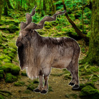 Free online html5 games - WowEscape Save the Markhor game - Games2rule 