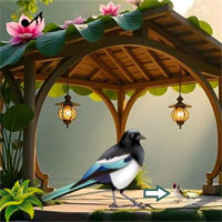 Free online html5 escape games - Songbird Forest Escape