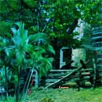 Free online html5 games - Top10NewGames Find The Rope In Orchard Cottage game 