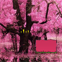 Free online html5 games - Wow Lovely Blossom Forest Escape game - Games2rule 